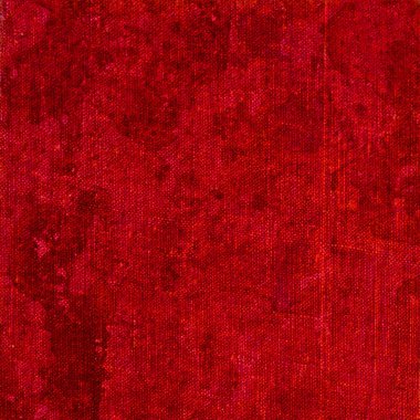 sisli iğne yapraklı ağaç içinde ağaç patika