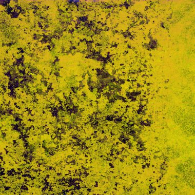 sisli iğne yapraklı ağaç içinde ağaç patika