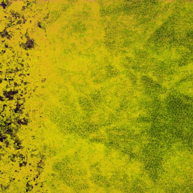 sisli iğne yapraklı ağaç içinde ağaç patika