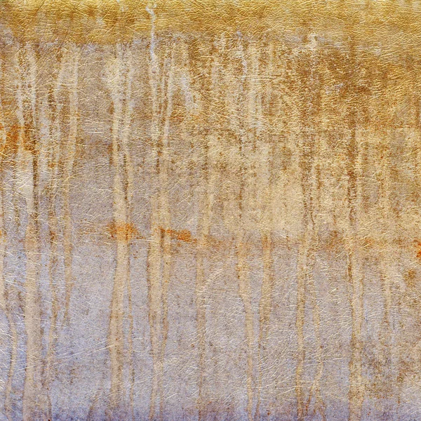 Sisli iğne yapraklı ağaç içinde ağaç patika — Stok fotoğraf