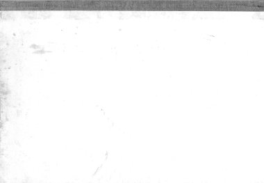 sisli iğne yapraklı ağaç içinde ağaç patika