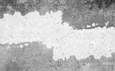 sisli iğne yapraklı ağaç içinde ağaç patika