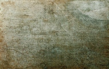 sisli iğne yapraklı ağaç içinde ağaç patika