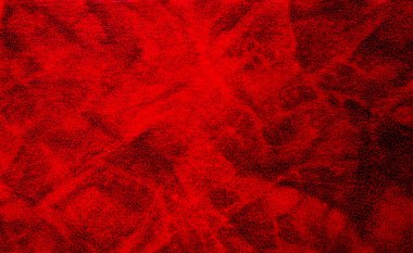 sisli iğne yapraklı ağaç içinde ağaç patika