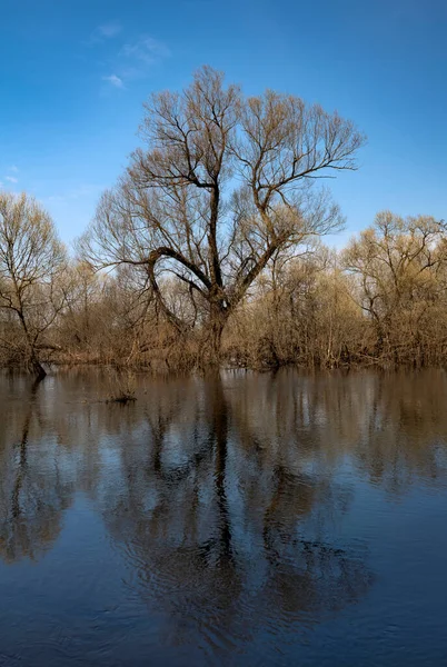 Moskova bölgesi, Rusya 'da küçük bir nehirde bir bahar seli