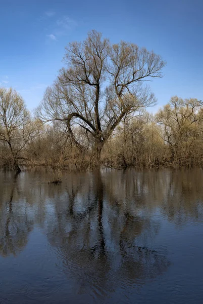 Una Inundación Primavera Pequeño Río Región Moscú Rusia Imágenes de stock libres de derechos