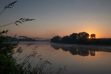 Sis şafak vakti çimenli nehir kıyısında kıvrılıyor, güneş doğuyor, Oka nehri, Kaluga bölgesi, Rusya