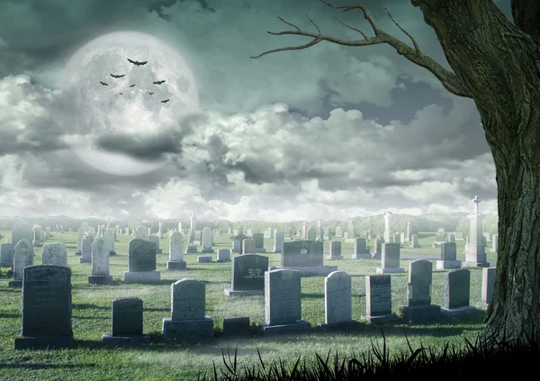 Conception Halloween - arbre effrayant. Fond d'horreur avec cimetière, et pleine lune. Espace pour votre texte de vacances — Photo