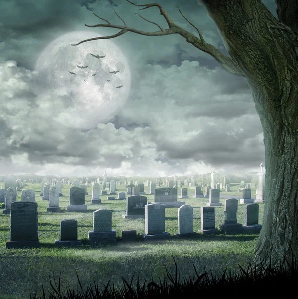 Halloween-Design - gruseliger Baum. Horrorhintergrund mit Friedhof und Vollmond. Platz für Ihren Urlaubstext — Stockfoto