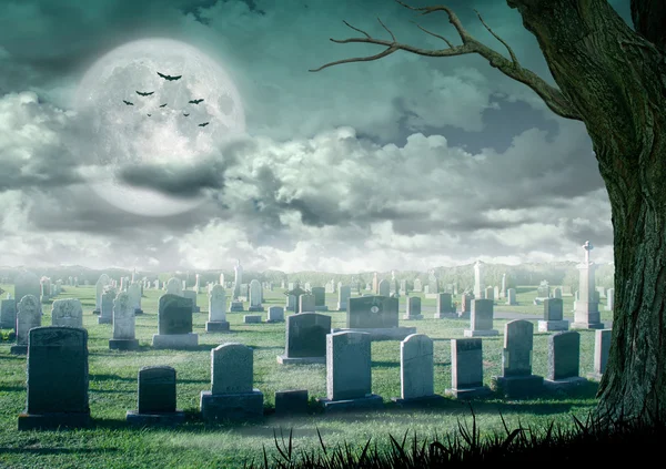 Halloween-Design - gruseliger Baum. Horrorhintergrund mit Friedhof und Vollmond. Platz für Ihren Urlaubstext — Stockfoto