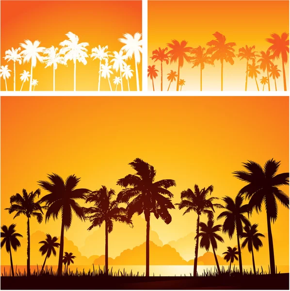 Palmiye ağaçlarıyla yaz günbatımı arka planı — Stok Vektör