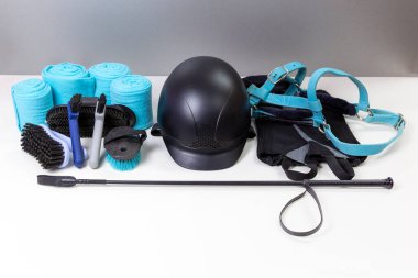 Düz binicilik teçhizatı: miğfer, fırça, kırbaç, bandaj, üzengi, tampon, sehpa, dizgin. At bakımı ve biniciliği için aksesuarlar ve ekipmanlar 