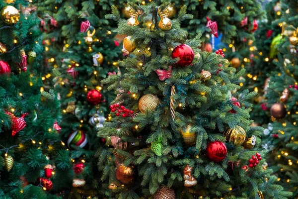 Vánoční Stromky Dekorace Pozadí Zelené Smrkové Ostružiny Červenými Zlatými Koulemi — Stock fotografie