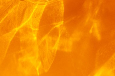 Soyut turuncu fişekler arka planda. Arkaplan gibi ateş