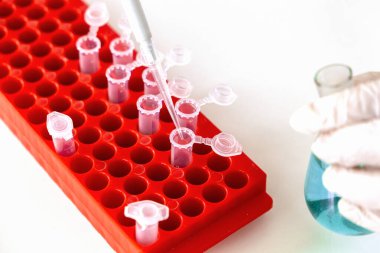 Bir laboratuvar çalışanı deney tüplerine sıvı dağıtır. Modern bilimin konsepti.