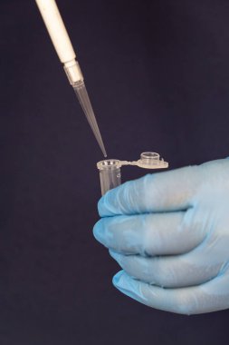Karanlık bir arka planda, tek kullanımlık küçük bir test tüpüne sıvı döken bir pipetin yakın çekimi. Modern laboratuvar kavramı..