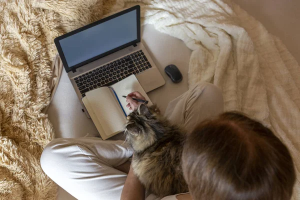 Kadın rahat iş yerinde çalışıyor yatakta, yumuşak battaniyeler, tüylü kedi, dizüstü bilgisayar ve not defteri.