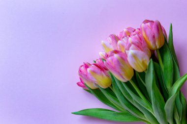 Pembe ve sarı lale desenli üst manzara.