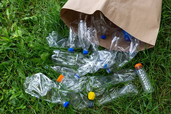 Many transparent empty water bottles are gathered in the paper bag on the green grass. Separate waste and recycle plastic bottles concept. Save the earth and be eco friendly