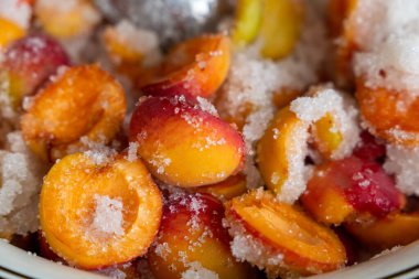 Kayısı ve şeker. Kış için hazırlıklar. Meyve reçeli