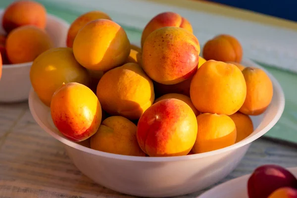 Frische Aprikosenfrüchte Einer Schüssel Sonnengarten — Stockfoto