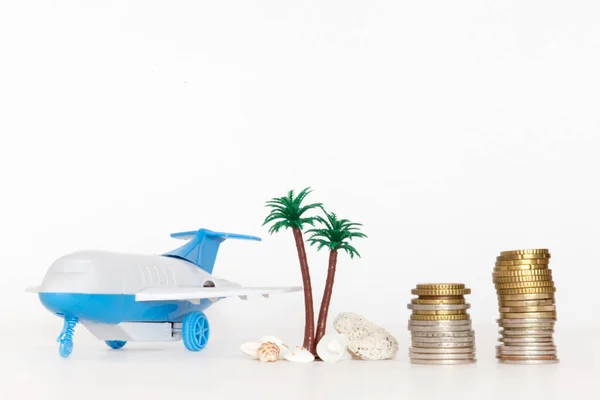 Palme Mit Muschel Flugzeug Und Münzen Auf Weißem Hintergrund Flug — Stockfoto