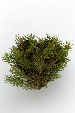 Kalp şeklinde kozalaklı dallar düz yatıyordu.