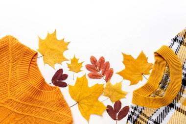 Renkli sarı ve kırmızı yapraklı, turuncu uzun kollu örgü süveter. Sonbahar renkli giysiler düz yatıyordu