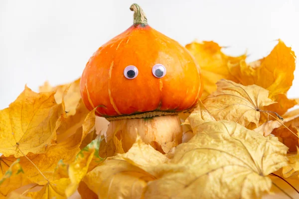 Tökfej Szemekkel Arccal Gomba Alakban Őszi Levelek Között Hálaadás Halloween — Stock Fotó