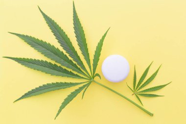 Sarı arka planda kenevir yağı, kenevir yaprağı ve tohumlu kozmetik ve krem