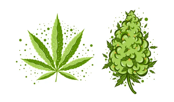 Lindo brote divertido marihuana feliz hierba con vapor de canino.Vector dibujo animado plana icono de la ilustración de diseño. Cannabis con corona de graffiti Aislado sobre fondo blanco.Brote de malezas, marihuana, brote medicinal — Vector de stock