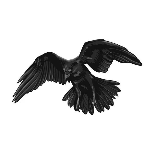 Dessin corbeau illustration vectorielle de haute qualité.Volant Raven.Halloween corbeau design — Image vectorielle