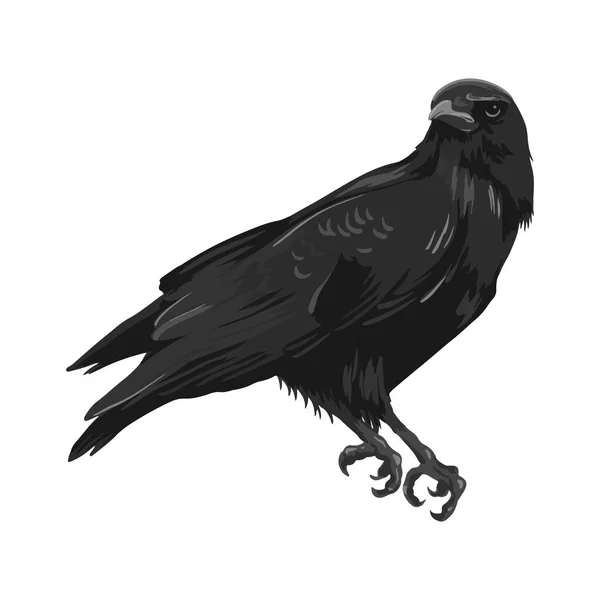 Raven rysunek wysokiej jakości wektor ilustracji.Latający raven.Halloween kruk projekt — Wektor stockowy