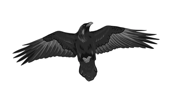 Dessin corbeau illustration vectorielle de haute qualité.Volant Raven.Halloween corbeau design — Image vectorielle