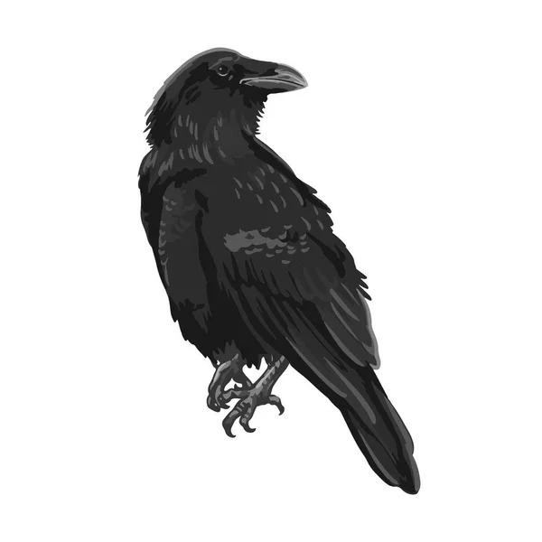 Raven dibujo de alta calidad vector illustration.Flying raven.Halloween diseño de cuervo — Archivo Imágenes Vectoriales