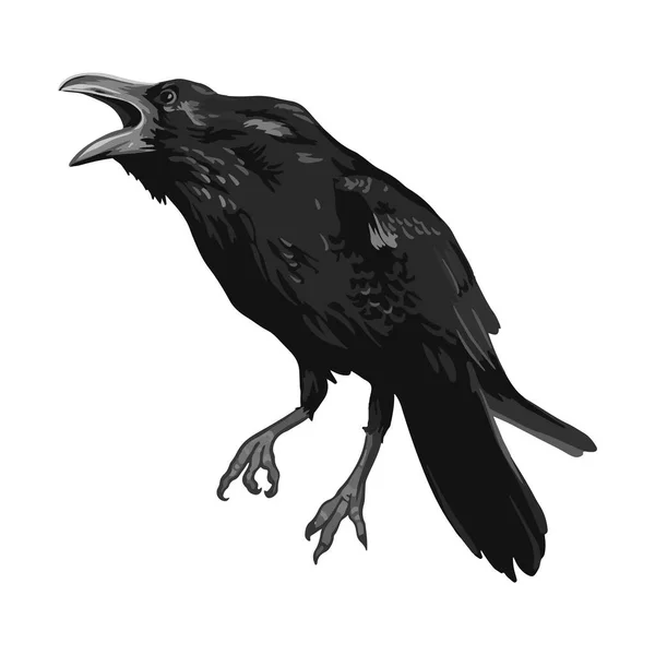 Raven Desenho Alta Qualidade Vetor Illustration Flying Raven Halloween Projeto — Vetor de Stock