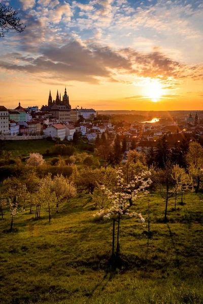 Prag Çek Cumhuriyeti Mayıs 2021 Petrin Tepesi Nden Şehrin Renkli — Stok fotoğraf