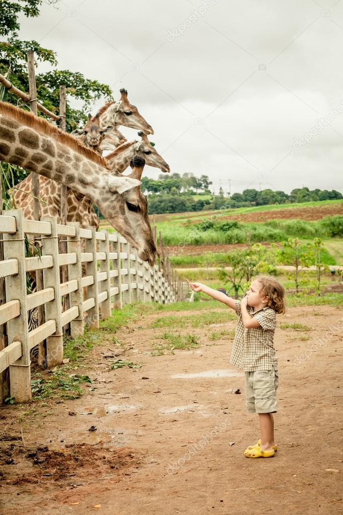 Little boy feeding a giraffe at the zoo at the day time. — Stock Photo