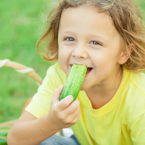 Happy little boy sitting on the grass with a basket of vegetable — Stock Photo, Image