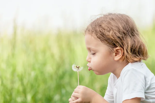 Söt liten pojke leker med blommor i park — Stockfoto