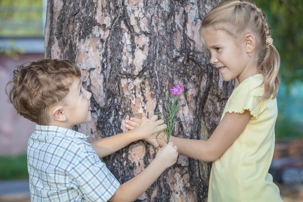 Zwei glückliche Kinder, die tagsüber in der Nähe des Baumes spielen. — Stockfoto