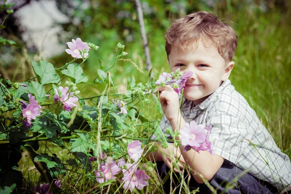 Портрет маленького мальчика с полевыми цветами — стоковое фото