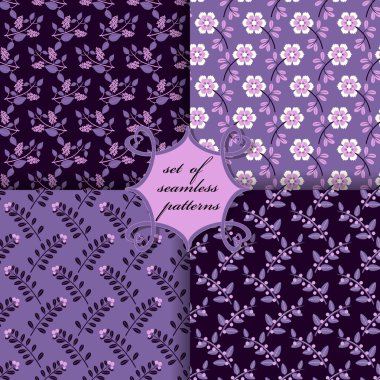 Sorunsuz vektör çizimler kümesi. Çiçekler, dalları meyveleri ile