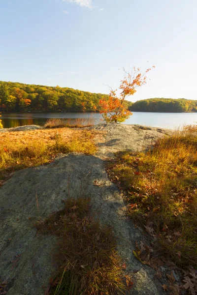 Paisaje de otoño al atardecer . — Foto de Stock