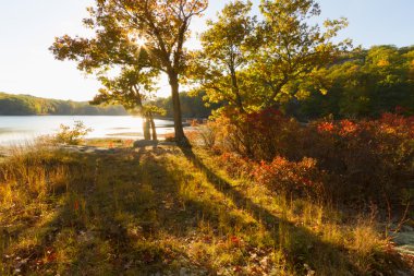 Gün batımında sonbahar manzara.