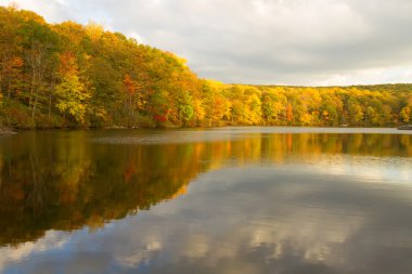Gün batımında sonbahar manzara.