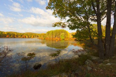 Gün batımında sonbahar manzara.