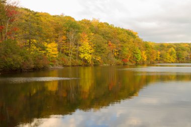Gün batımında sonbahar manzara.