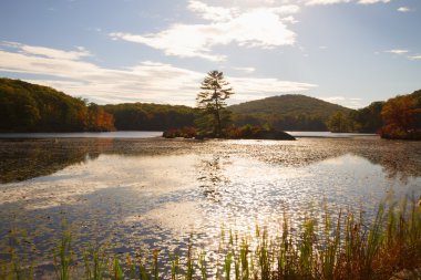 Gün batımında sonbahar manzara.