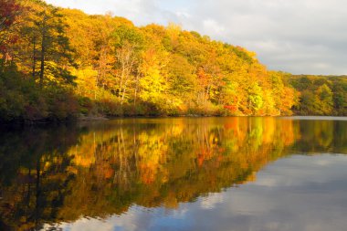Gün batımında sonbahar manzara.